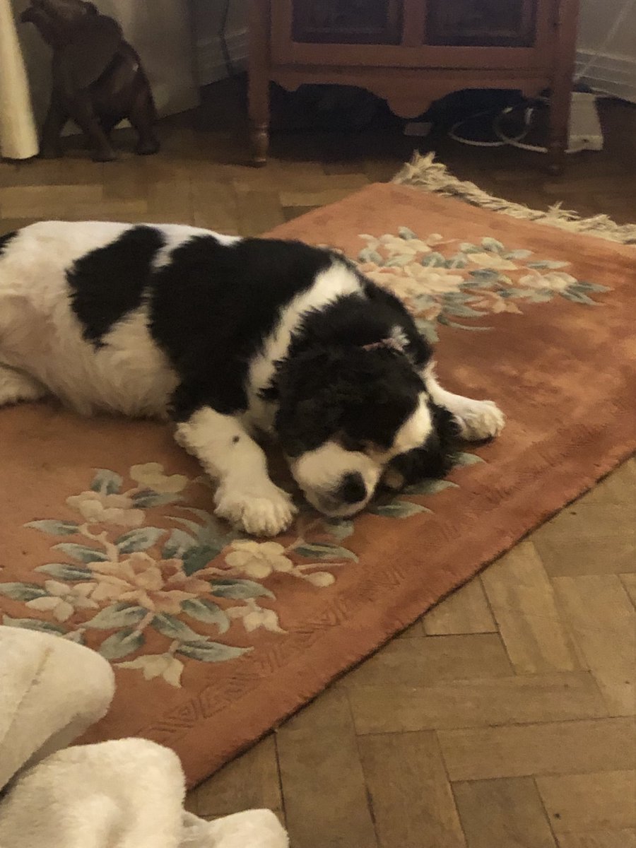 13 years of mutual love and caring