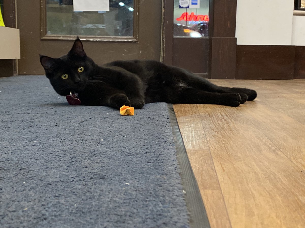 Book House STL tweet media