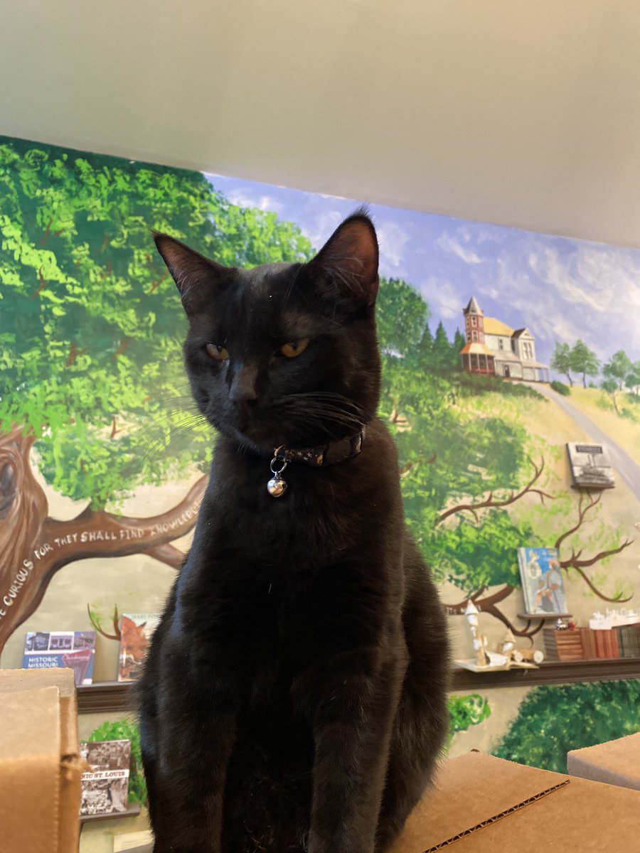 Book House STL tweet media