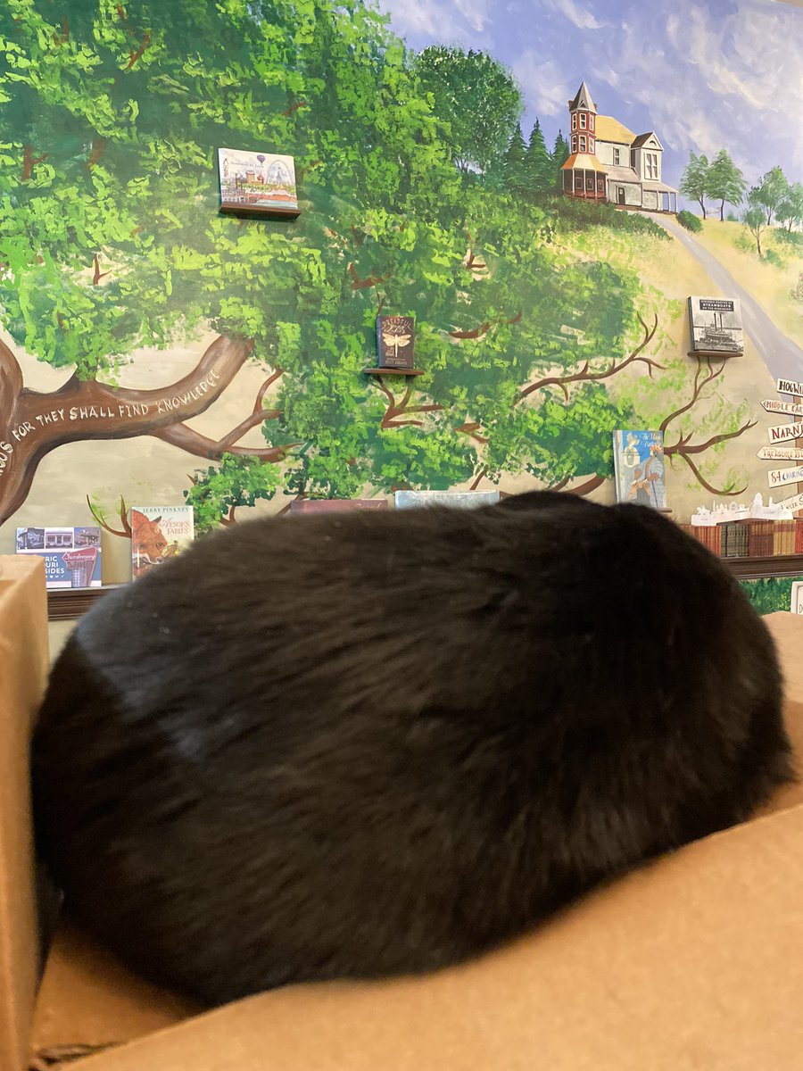 Book House STL tweet media