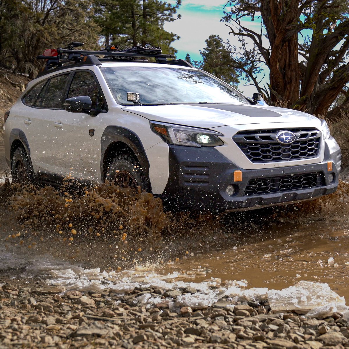 subaru_usa's tweet photo. Spring is around the corner! Who's ready to go puddle jumping in the #OutbackWilderness? 💦 (📸: Overlanding Now) https://t.co/1kgOZbSIRF