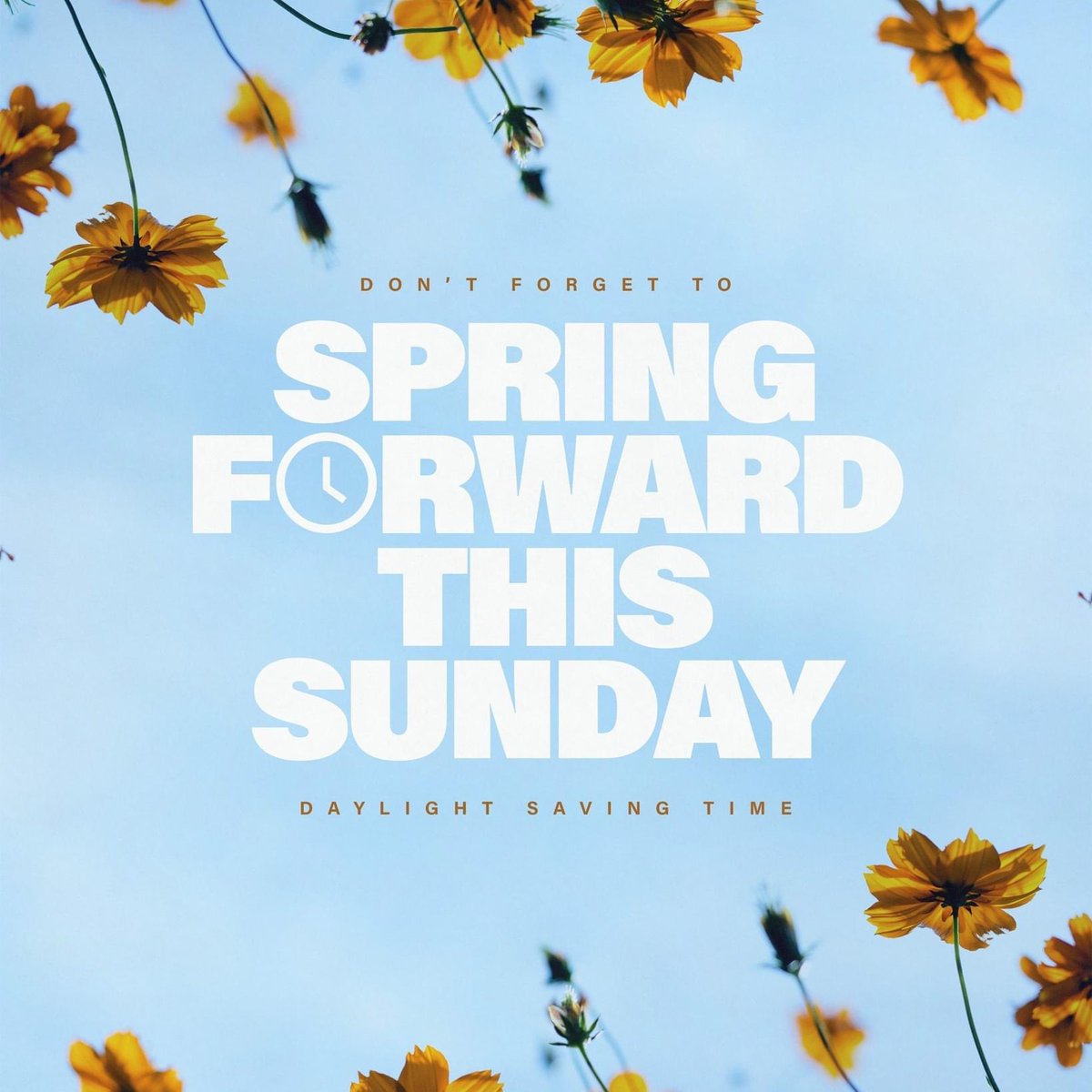 Lindsay Lane Baptist tweet media