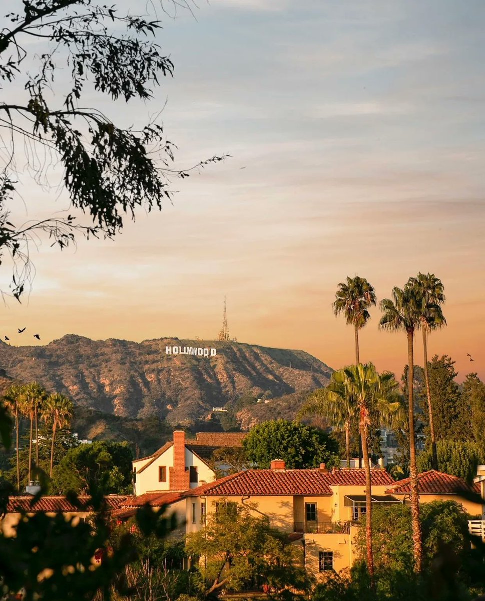 TripscoutApp's tweet photo. Golden hour in Los Angeles, California 🇺🇸🌴
📸: tiffanysbell | IG https://t.co/2hjuXTYlVz