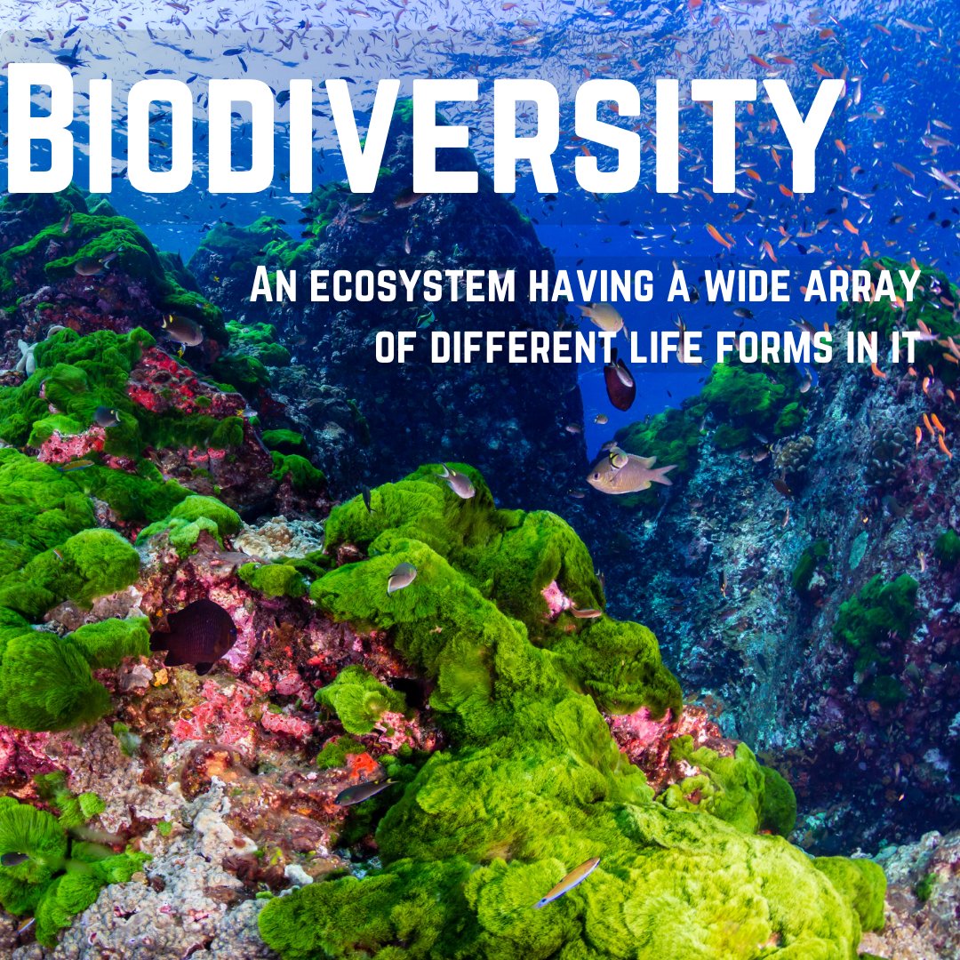 seapigs7's tweet photo. Biodiversity - An Ecosystem Having A Wide Array Of Different Life Forms In It
This is a quote from chapter 6 of our book 'Selfish People, DO NOT READ!' which can be read for free on our website at: https://t.co/7PMWvZRsXO
#SeaPigs #Biodiversity #Ebook #KickstarterCampaign https://t.co/5EghRcReon