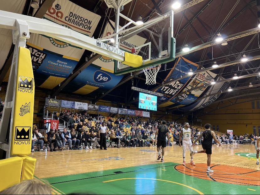 Last Friday, our team had a blast at the opening game for the <a href="/AlbanyPatroons/">Albany Patroons</a>!🏀 We can’t wait to see them claim their crowns on the court the rest of the season and rock their NOVUS gear! #claimyourcrown