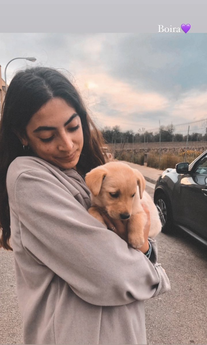 _beamarin's tweet photo. Aquí también merecéis conocer a Boira 🐾💜 https://t.co/jjYjOawahD
