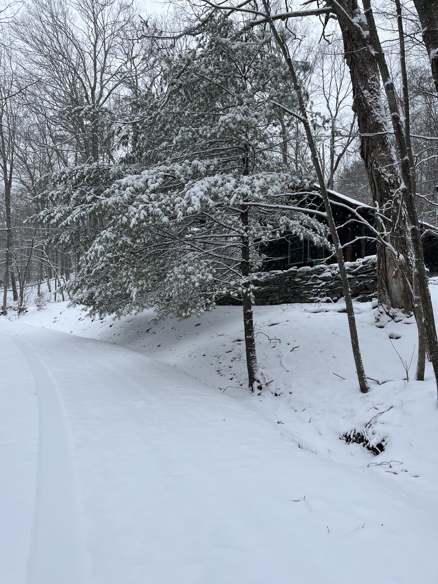 EricaObey's tweet photo. Just a walk to remind myself how happy I am living here at #Byrdcliffe even if I am bracing against another power outage. #CatskillWeather #Woodstock https://t.co/pjhZ7t8djw