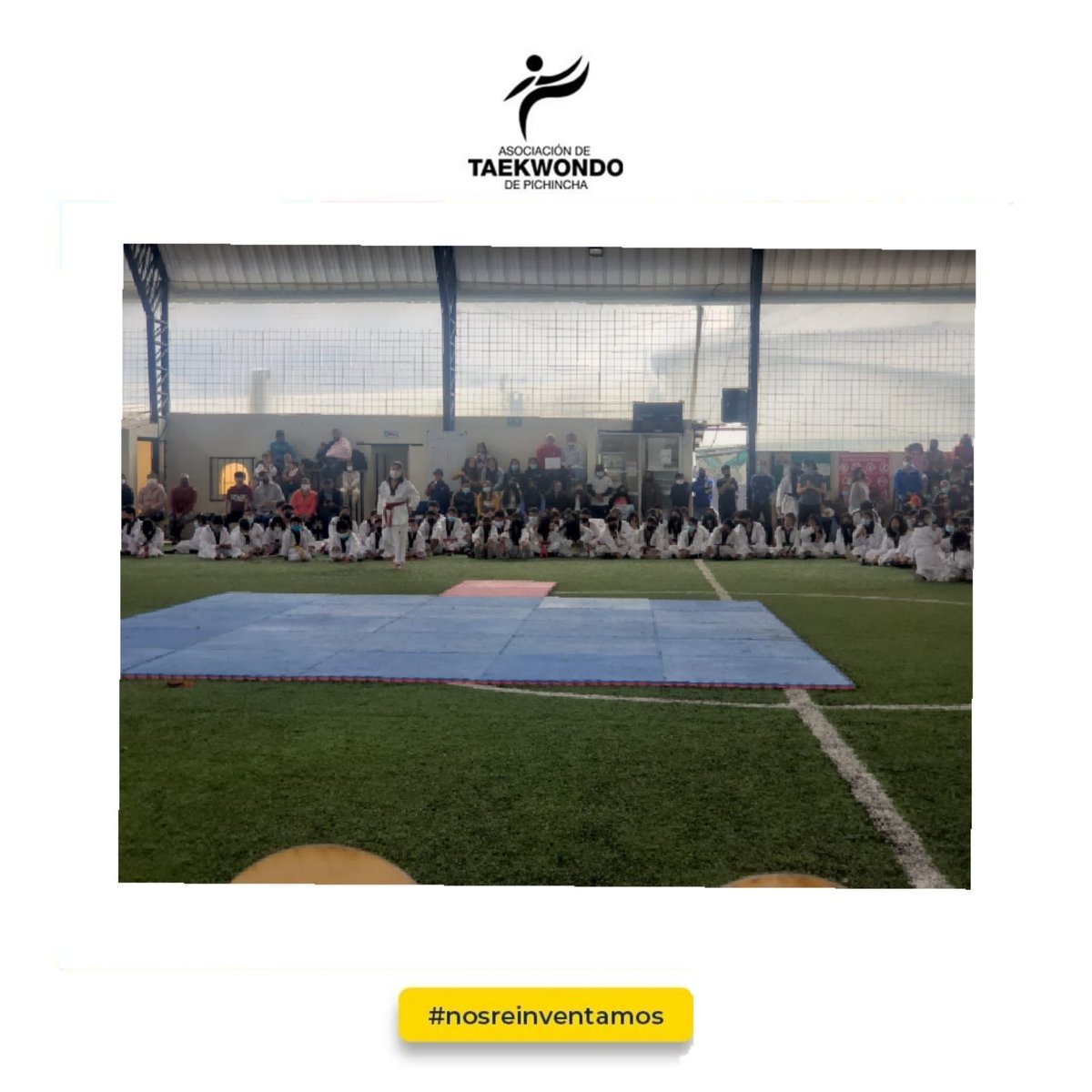 aso_tkd_pich's tweet photo. Más de 150 deportistas ascendieron de cinturón este sábado 12 de marzo. En el evento estuvieron, Paul Landeta, Presidente de la Liga Cantonal Cayambe, Prof. Miguel Angel Pavón, Presidente Vitalicio y nuestro Presidente, Juan Carlos Ramírez. https://t.co/iPUkjC5Atq