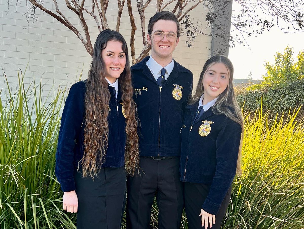 Buhach Colony FFA tweet media