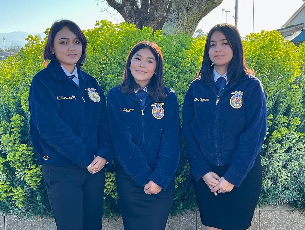 Buhach Colony FFA tweet media