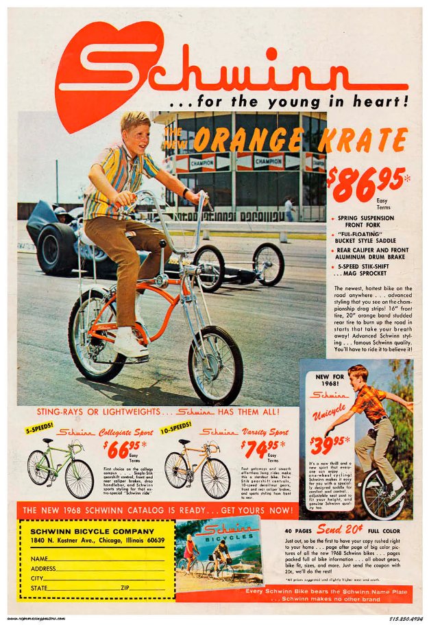 Rob Caveman™ tweet media