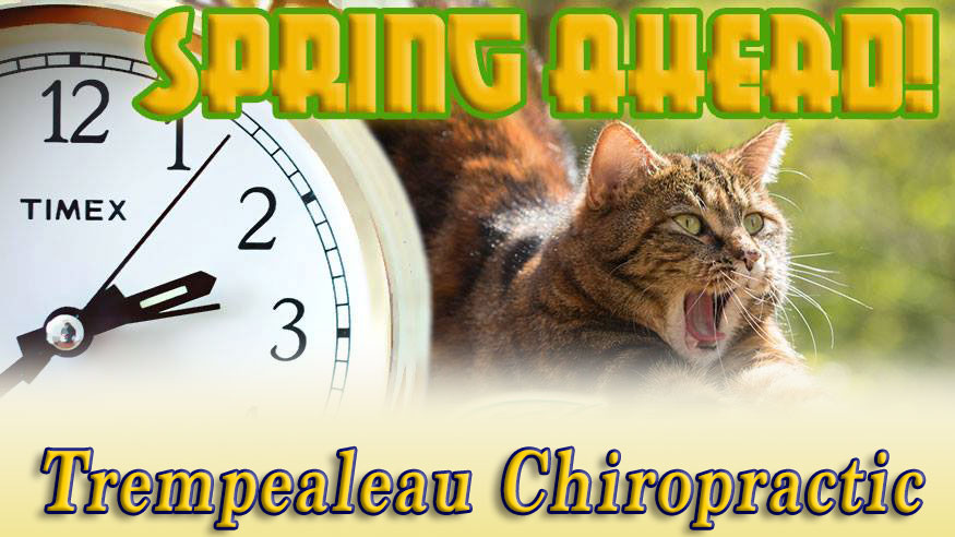 Tremp_Chiro's tweet photo. There will be some big yawns &amp; stretches Sunday morning. #DaylightSavingsTime starts officially early Sunday morning. Remember to set your clocks forward one hour Saturday night. #SpringForward2022 https://t.co/zezfbHOzRI
