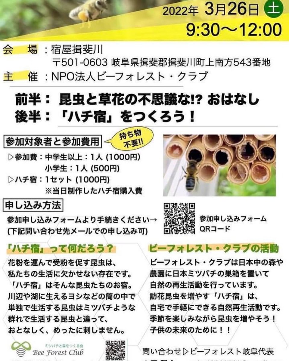 好評につき日本ミツバチ1群の出品です
