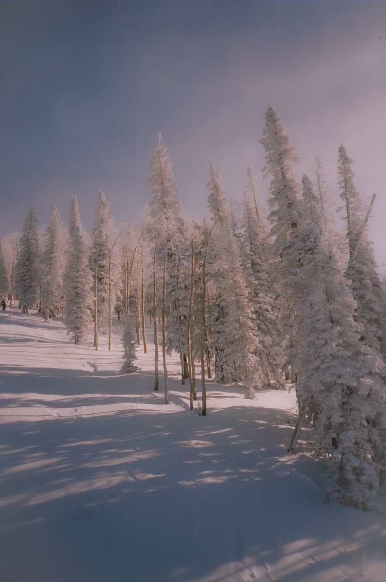 35mm photos I took off of a chairlift