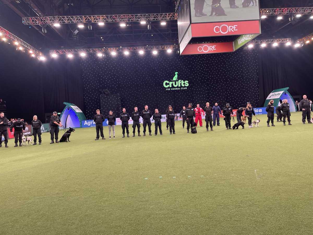 A huge well done to all ⁦<a href="/WMPDogs/">WMP Dog Unit</a>⁩ ⁦<a href="/Crufts/">Crufts</a>⁩ today, showcasing how our dedicated 🐶 handlers and training instructors, work with our fabulous police dogs, to prevent crime &amp; keep you safe.  A big thankyou to our volunteers who helped make today a success 👏👏⭐️