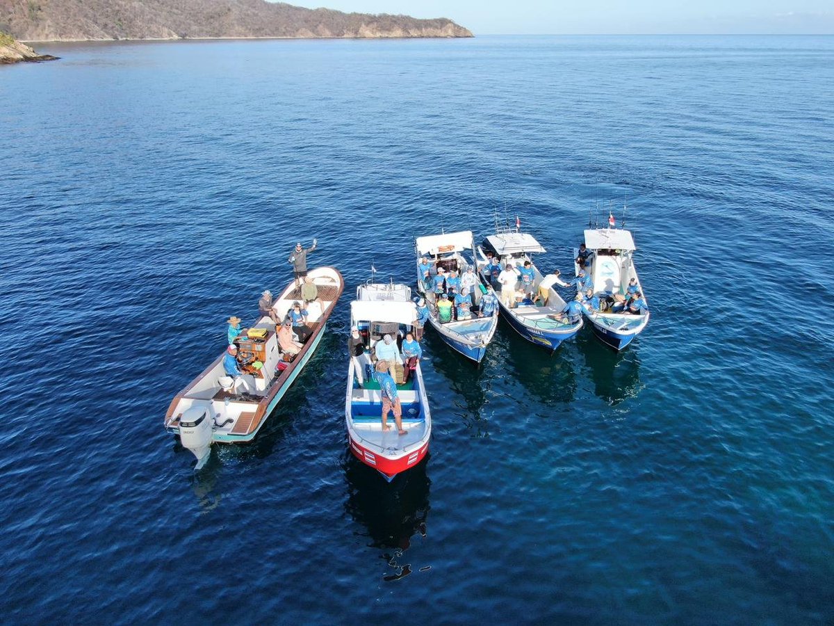 LuVargasAraya's tweet photo. 2° torneo de CC-Mar enfocado en marcaje y liberación de pargos. Más gente y más sectores se van sumando. Nos unen el mar y la urgencia de estudiar el mar para ayudar a protegerlo💙 #CienciaTica https://t.co/wh3r2m4fHz