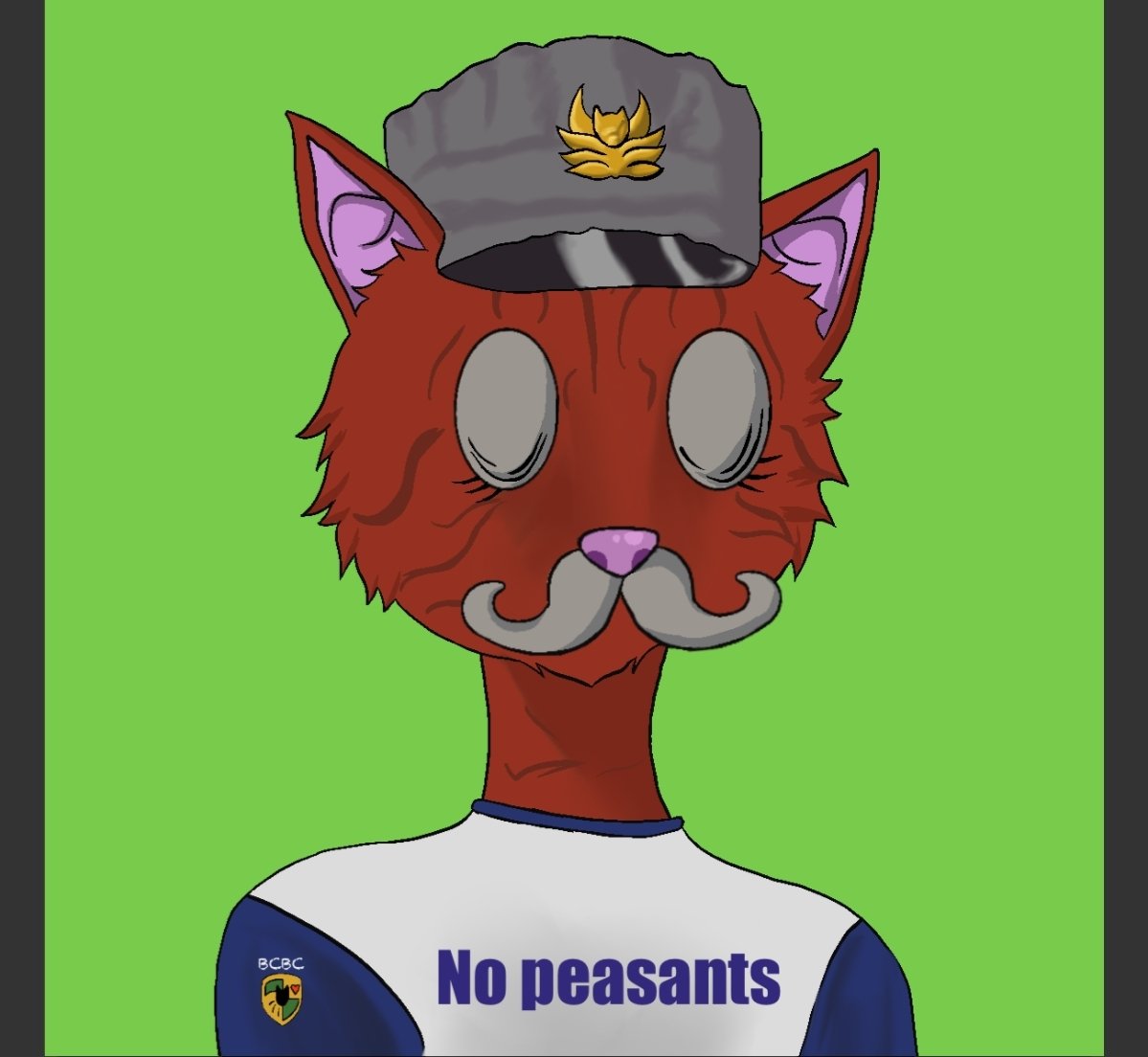 Uncle So Hai 🐸✊🏿 tweet media