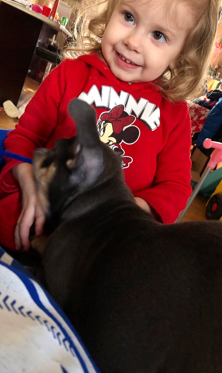 BaysideFrenchie's tweet photo. Who has more fun than we do?!?!? #BaysideFrenchies #puppylove #MissViola #frenchbulldog #frenchieLove #dogsoftwitter #puppies ❤️❤️ https://t.co/TtrqmYGIGW