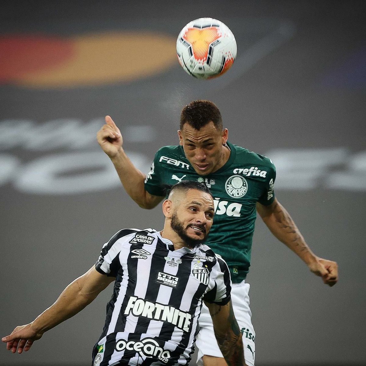 LeandroLimaMac2's tweet photo. @deprepalmeiras https://t.co/RtMcTm53UF