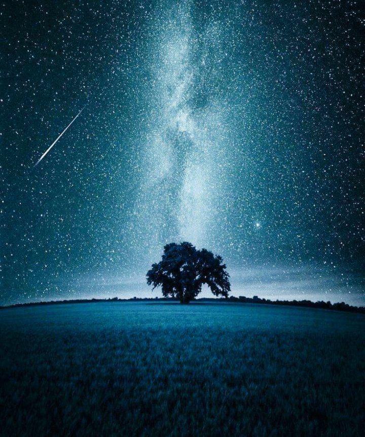 'Dizem que cada
átomo do nosso
corpo, alguma vez
foi parte de uma
estrela, talves eu
não vá embora,
talves eu vá para
casa..."

(Van Gogh)