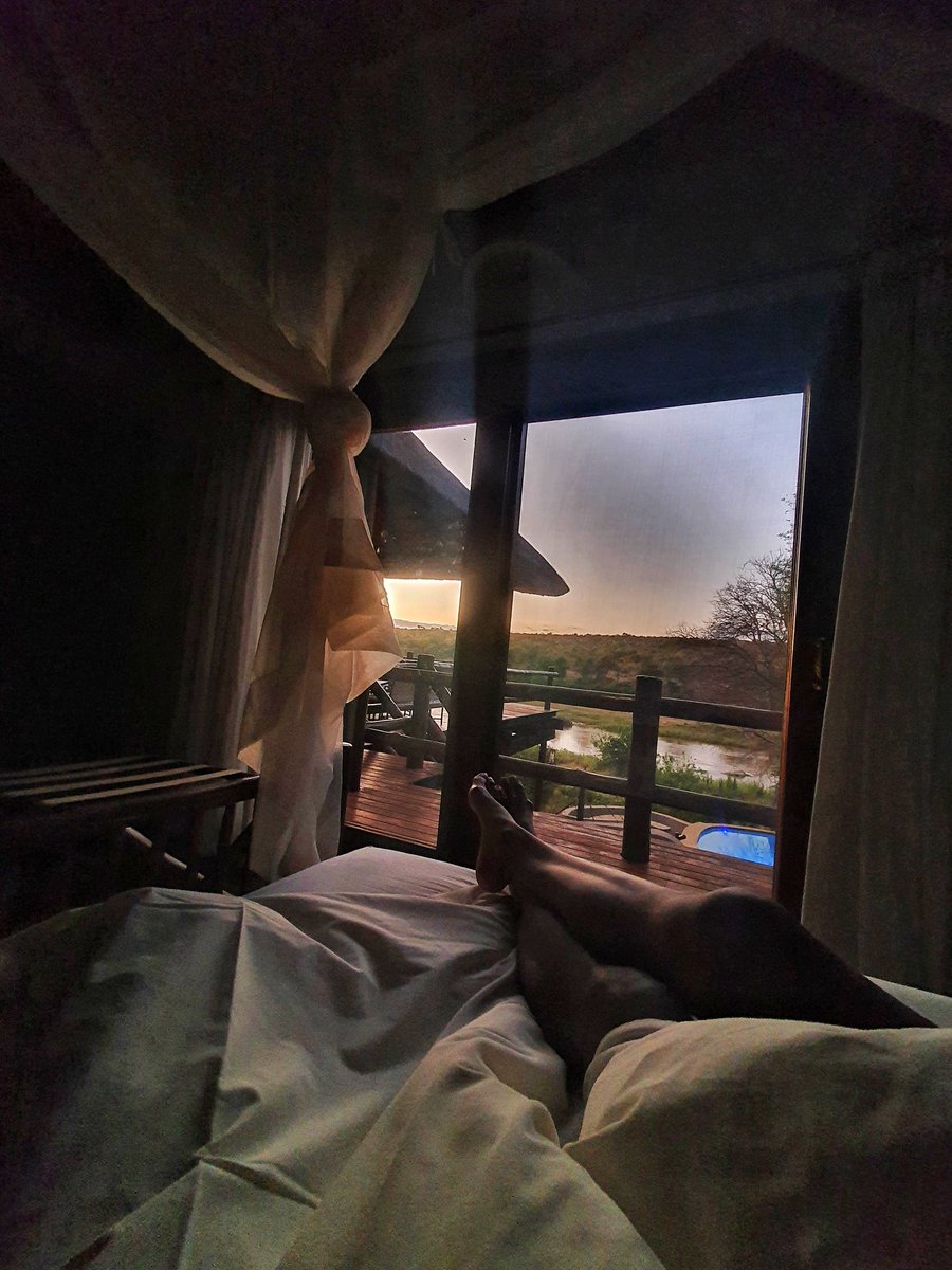 Good morning from Nyati Safari Lodge 🌞 

📍Limpopo, South Africa.
