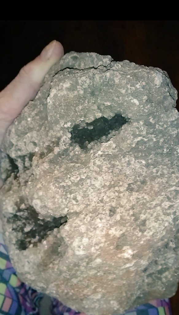 0000Rain's tweet photo. I walked out today and got this face. Its been watching my shop from a distance for a few months. Ik! Its just a baby mud fossil 😂 but it's been so cold here in Mo!!
❄️

#mudflood
#minerals
#Secretworld 
#RockShow 
#muddyblues https://t.co/FrggXnd64i