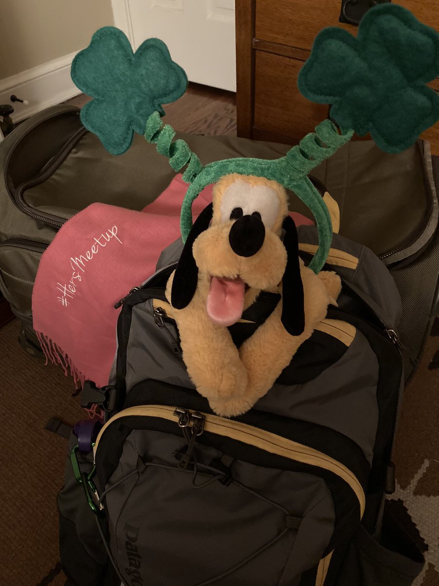SPriceHealth's tweet photo. All packed for #HIMSS22. I picked Pluto up from the 🍊 Co Chamber of Commerce booth at my 1st HIMSS as staff—HIMSS10 Atlanta. This is Pluto’s 5th Orlando #HIMSS and he’s ready for a 🍀 conference! 🥳@HIMSS https://t.co/y2mczaWxHP