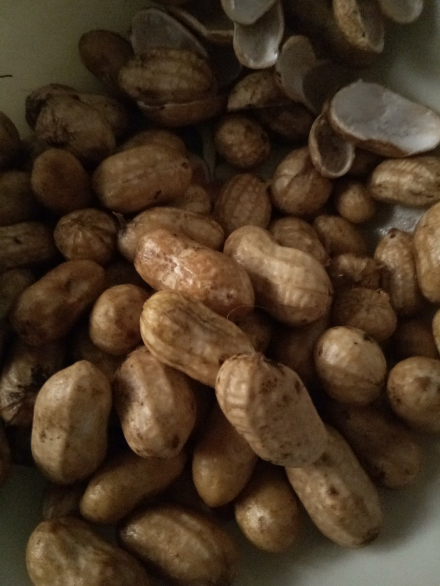PITCHBOSS's tweet photo. My #breakfast Today #Rawpeanuts ....పచ్చివి😋 https://t.co/JmBXf1ejsE