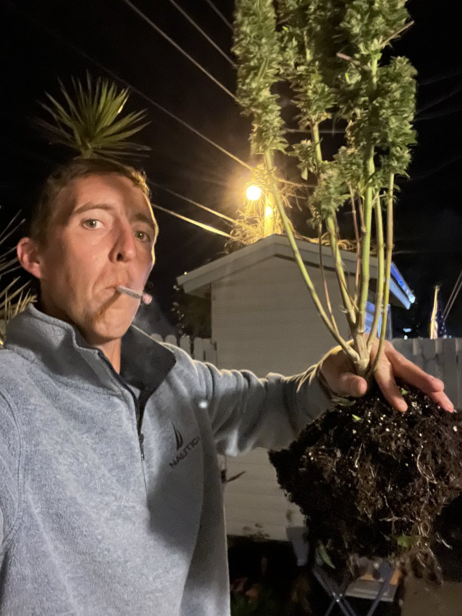 RF0lll's tweet photo. My Saturday project. #MaryJane #WinterWeed https://t.co/IdQO7MAdbr