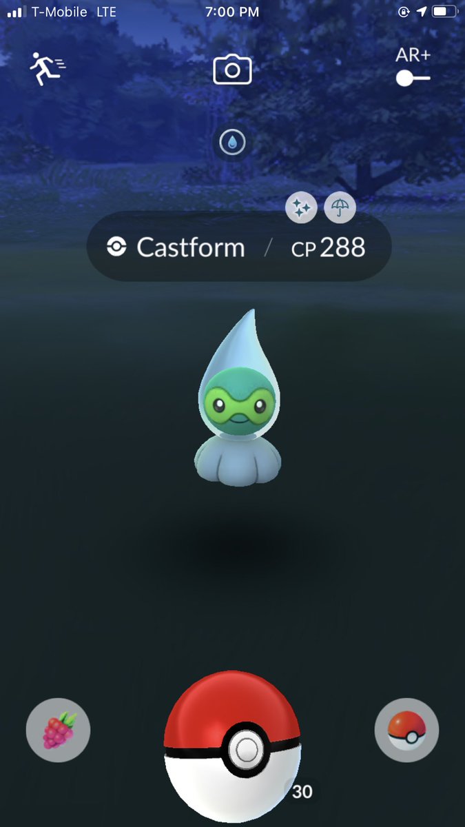 rachpdxpogo's tweet photo. I’ve always wanted this shiny. A friend of mine asked to go to the #Snackmarket and I’m glad I did. 💧🤩 https://t.co/REfhQm1h6D