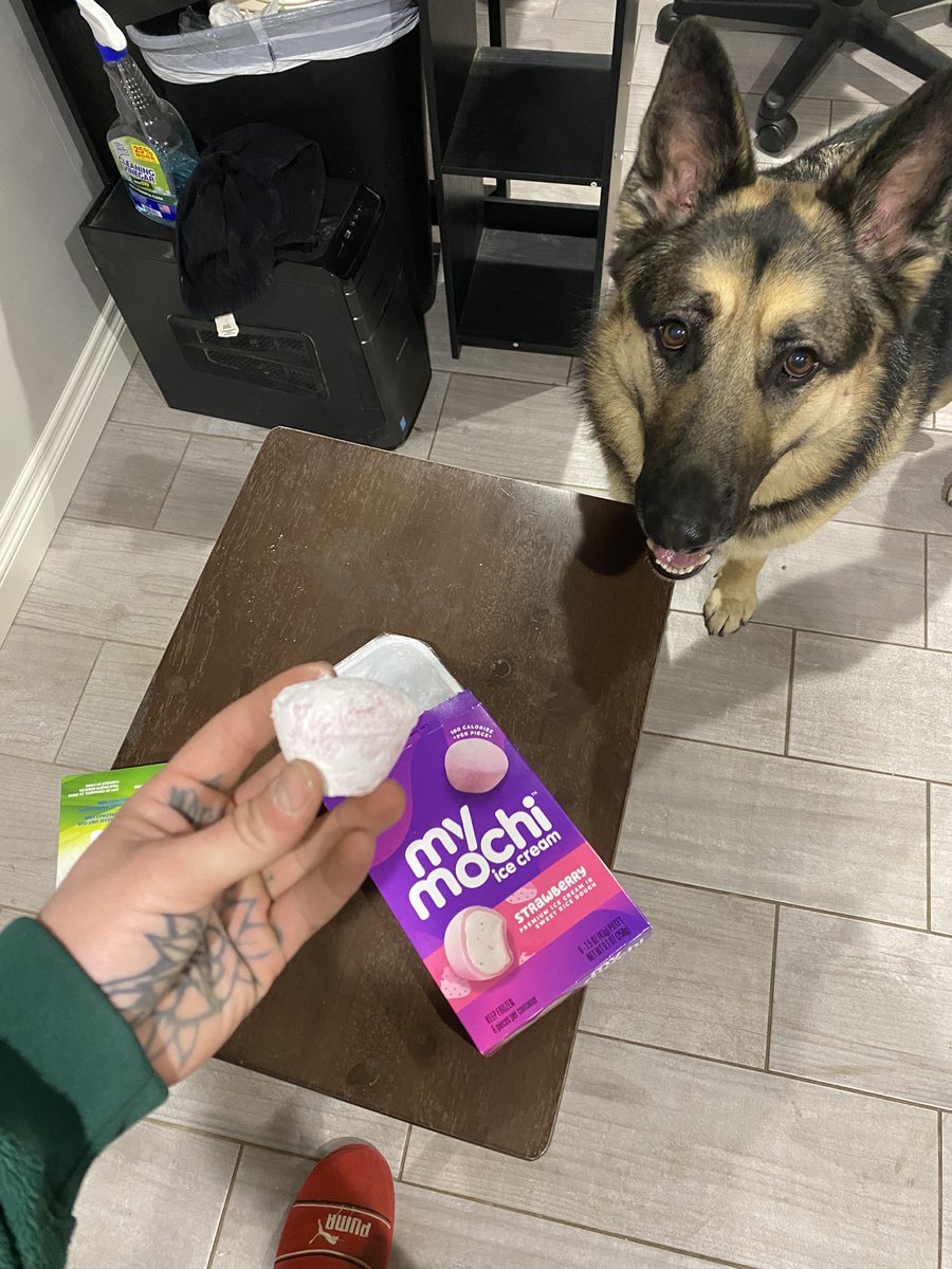 ryanfuckingbeu's tweet photo. Only powder you see me with off the mochi https://t.co/pjL87kVbdf