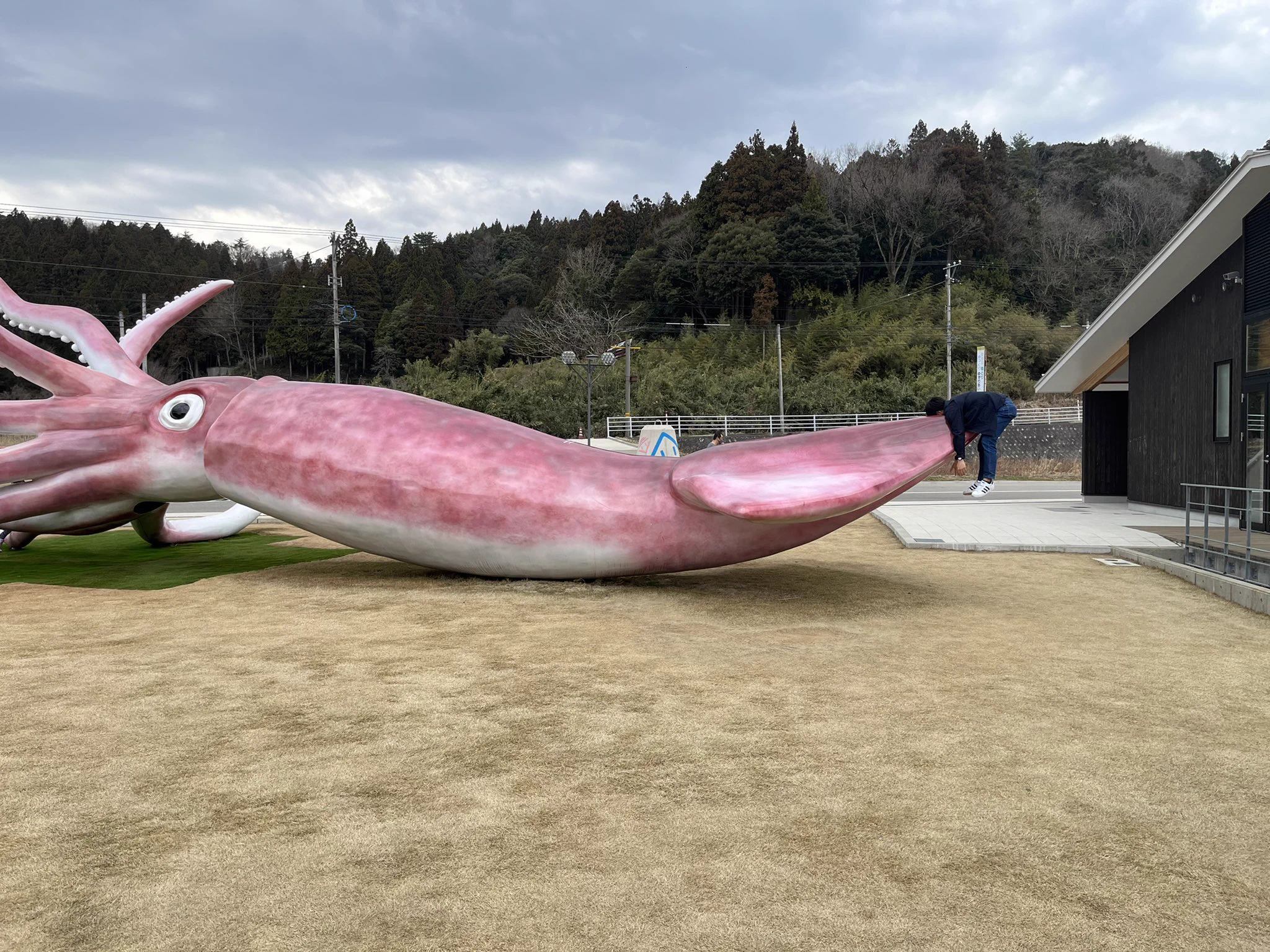 能登半島「イカの駅つくモール」で…巨大イカと戦った写真w