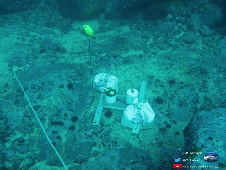 OIS Ensenada - Puerto Libertad Survey tweet media