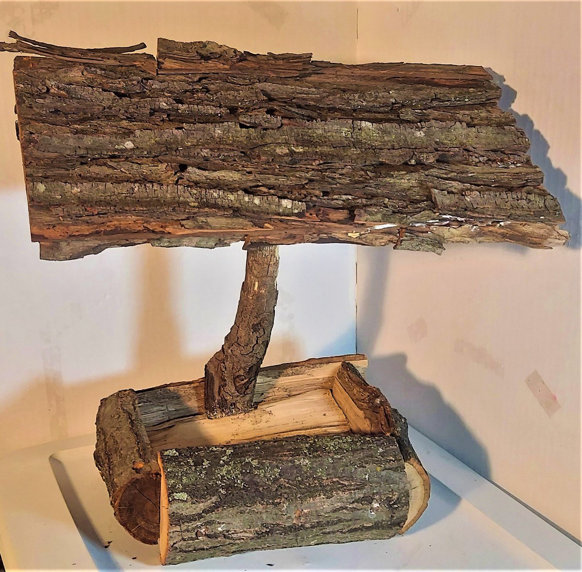 30secondsguy's tweet image. BIRDFEEDERS, New Birdhouses and MORE!  Check out the new stock as well as all my #QuirkyCreations at my #Etsy store.  etsy.me/3tN4CgS