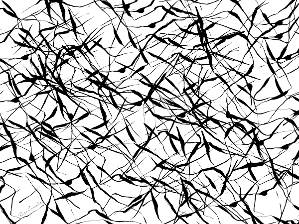 errolgreynft's tweet photo. 4 pieces from my #AbstractMonochrome collection on #opensea ๐ฅ
Do you love abstract monochrome art?
Hand created. Layer by layer. Piece by piece.
#NFTCollection #NFTCommunity #nftart #NFTartists #digitalart #Monochrome #OpenSeaNFT
https://t.co/FEriWL4vro https://t.co/k8UD8qWZBg