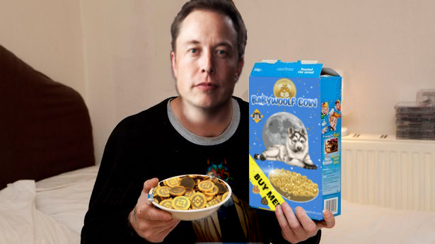 AlphaZion10's tweet photo. @BabyWoolfArmy @elonmusk @RationalEtienne @archaeologyart @HardcoreHistory @BabyWoolfCoin Yeahhh @elonmusk enjoying his #BABYWOOLF cereal 😀🚀 Always Cereal first, but maybe I’ve been doing it wrong too. The Baby Woolf token is the only token you need in 2022 to make a change. Join us today @BabyWoolfCoin and eat #BNB  because #Elon will adopt #BabyWoolfCoin soon #BTC https://t.co/XN6eswrthL