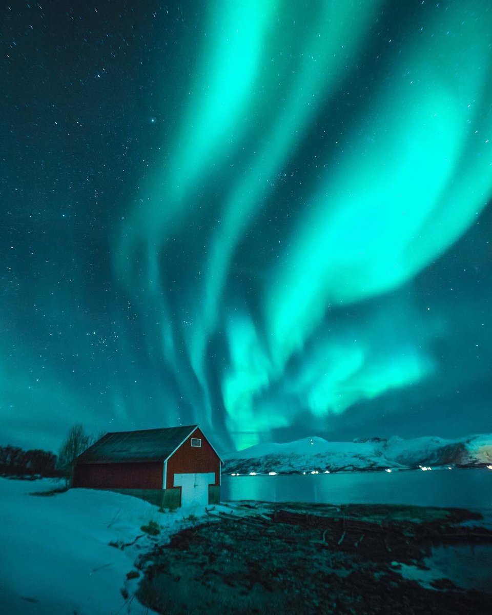 EarthquakeChil1's tweet photo. Aurora Boreal 🔴 Desde #Noruega y también para la Fotito el Sr Reno. https://t.co/PtMnyMIxL9