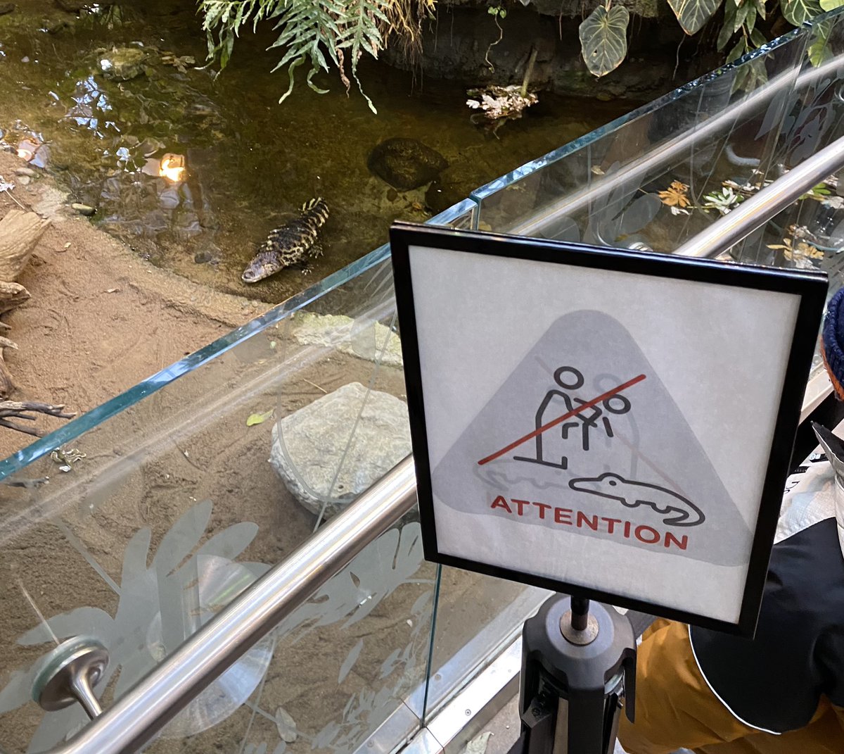 Certains enfants au Biodôme sont désagréables… au point qu’il faut interdire aux parents de les donner aux alligators…
