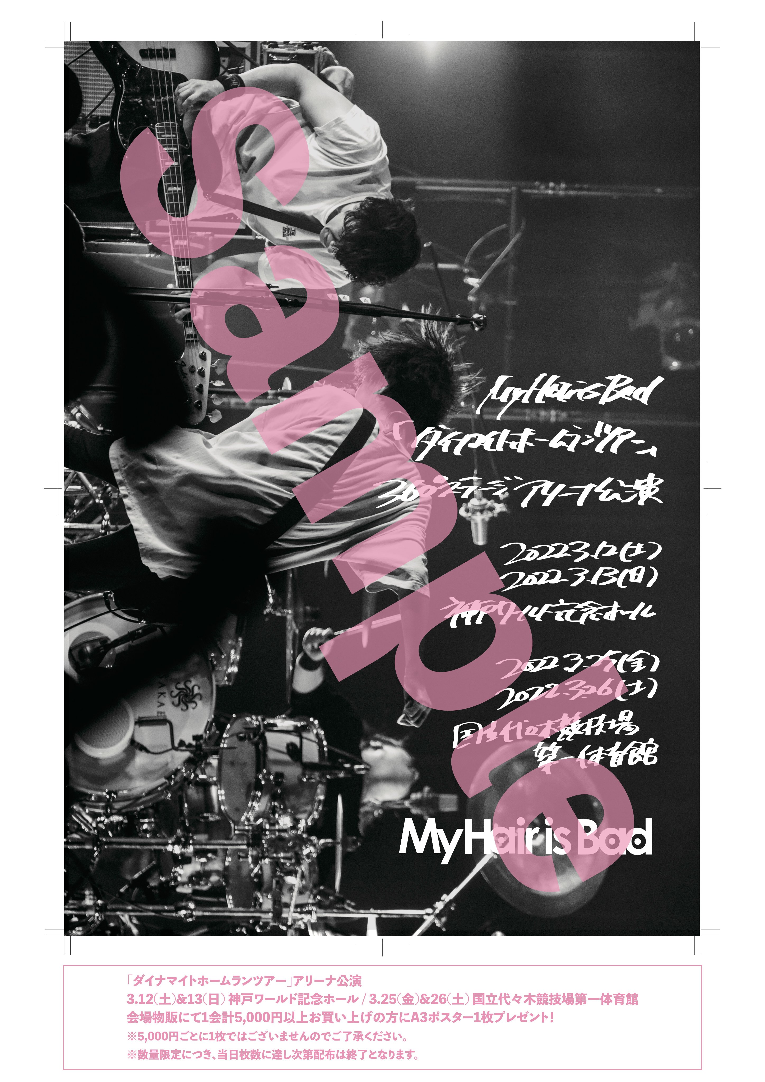 my hair is bad マイヘア narimi ポスター narimi : My Hair is Bad | HMV&BOOKS online - TNAD-56