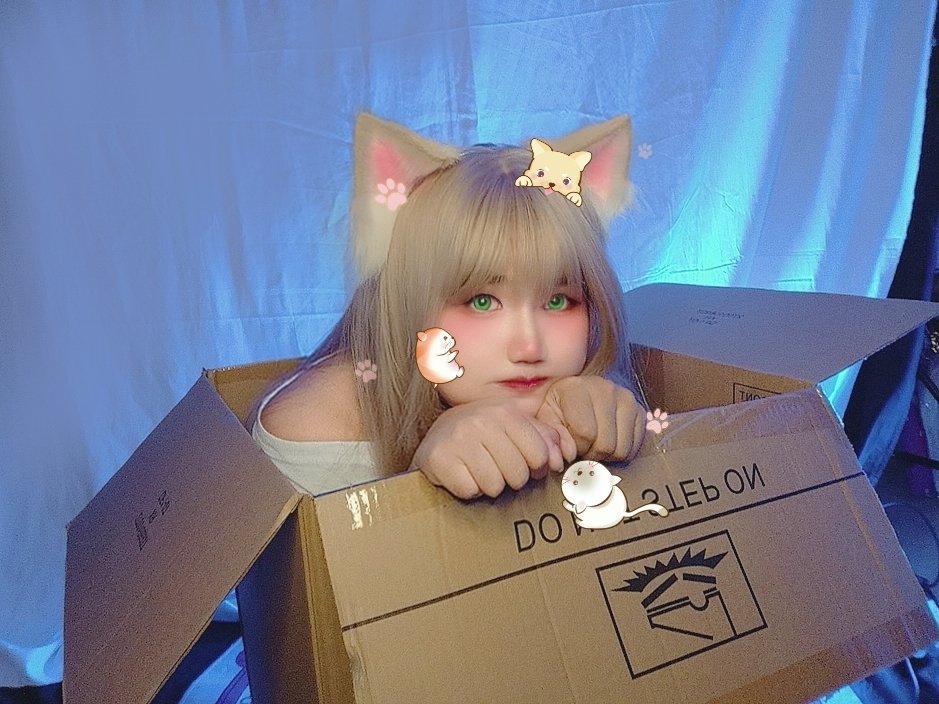 maplez_momiji's tweet photo. https://t.co/3TJ8cUf45Y