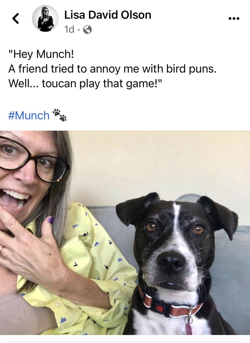 improvbuddy's tweet photo. https://t.co/ohthp0ejUL