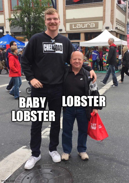 Baby Lobster Coin tweet media