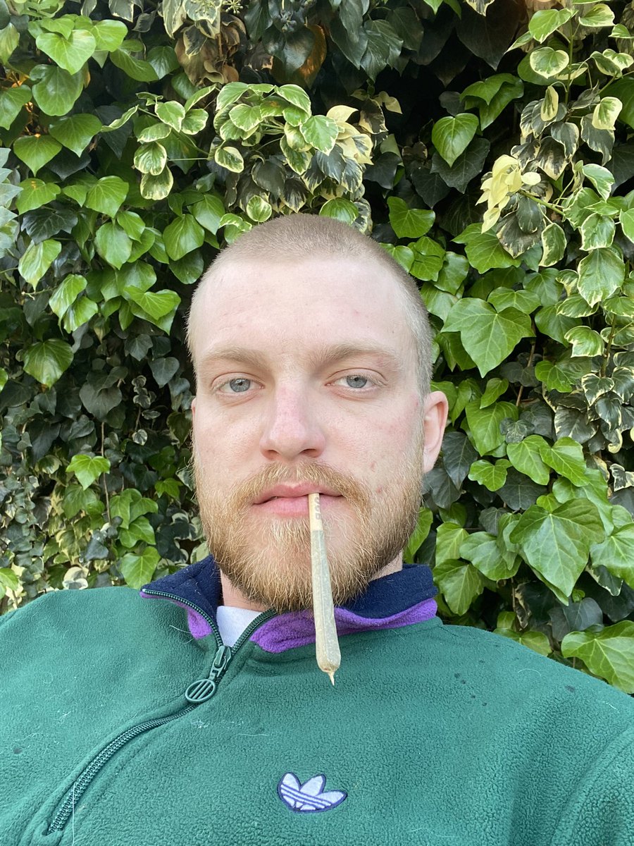 ryanfuckingbeu's tweet photo. Shaved head, sinead O Connor, got a bad bitch n her brothers name is Connor https://t.co/WpLtMST4y9
