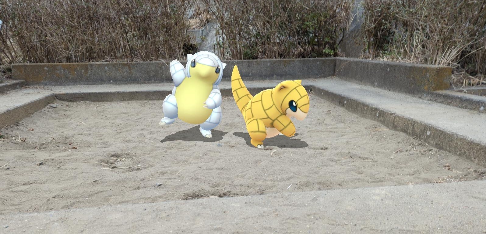 Pokemon Go Japan サンド サンド アローラのすがた サンドパン サンドパン アローラのすがた の Gosnapshot が対象となります また 公式アカウントでrtさせていただくことがありますが 当選とは異なりますので ご了承ください