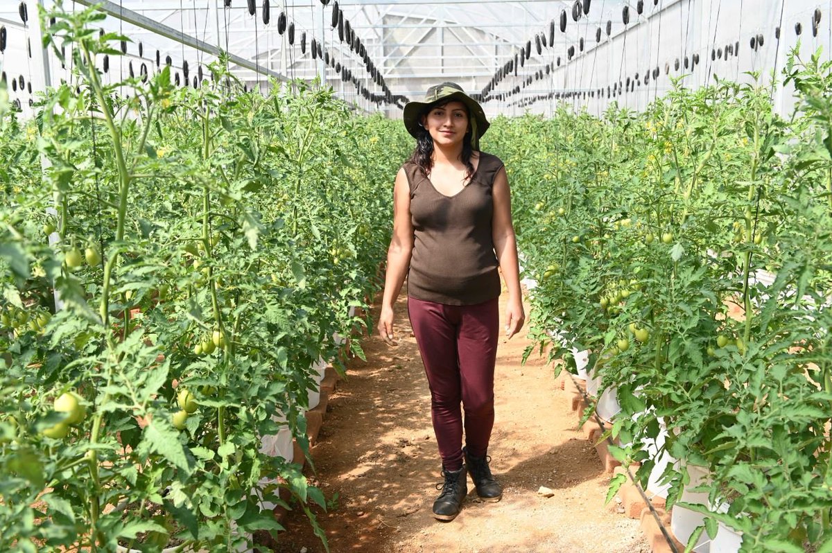 IFADespanol's tweet photo. Pequeños agricultores, mujeres rurales, jóvenes agroempresarios: todos los habitantes de las zonas rurales hacen de ellas lugares de cambio, innovación y oportunidades.
 
Invierte en ellos, invierte en desarrollo y crecimiento. https://t.co/8NbC3Nyb1H