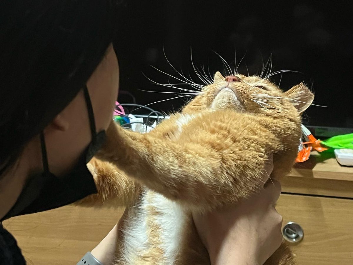 에뷔시 (@ewig_novelist) on Twitter photo 