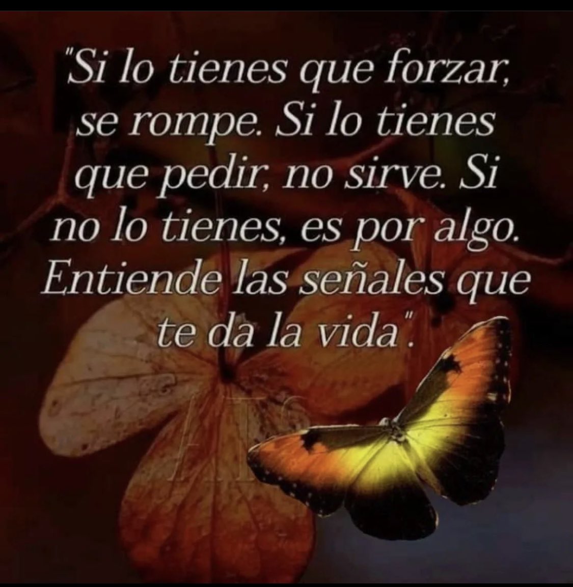 GLORIAVALLEJOO's tweet photo. https://t.co/4KbYd5Ed5N