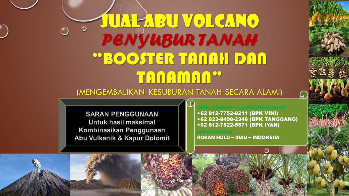 0812-7752-8211 Pusat Pemasaran Pupuk Sawit Abu Vulcanik (Pembenah Tanah ASLI) di Rokan Hulu Riau
 pembenahtanah-asli.blogspot.com 

#rohul, #rokanhulu, #riau, #pupuksawit, #pembenahtanah, #pembenahtanahsawit, #jualabuvulkanik, #abuvolcano, #abuvulkanik, #rabuk, #pupuk,  #pupukorganik,