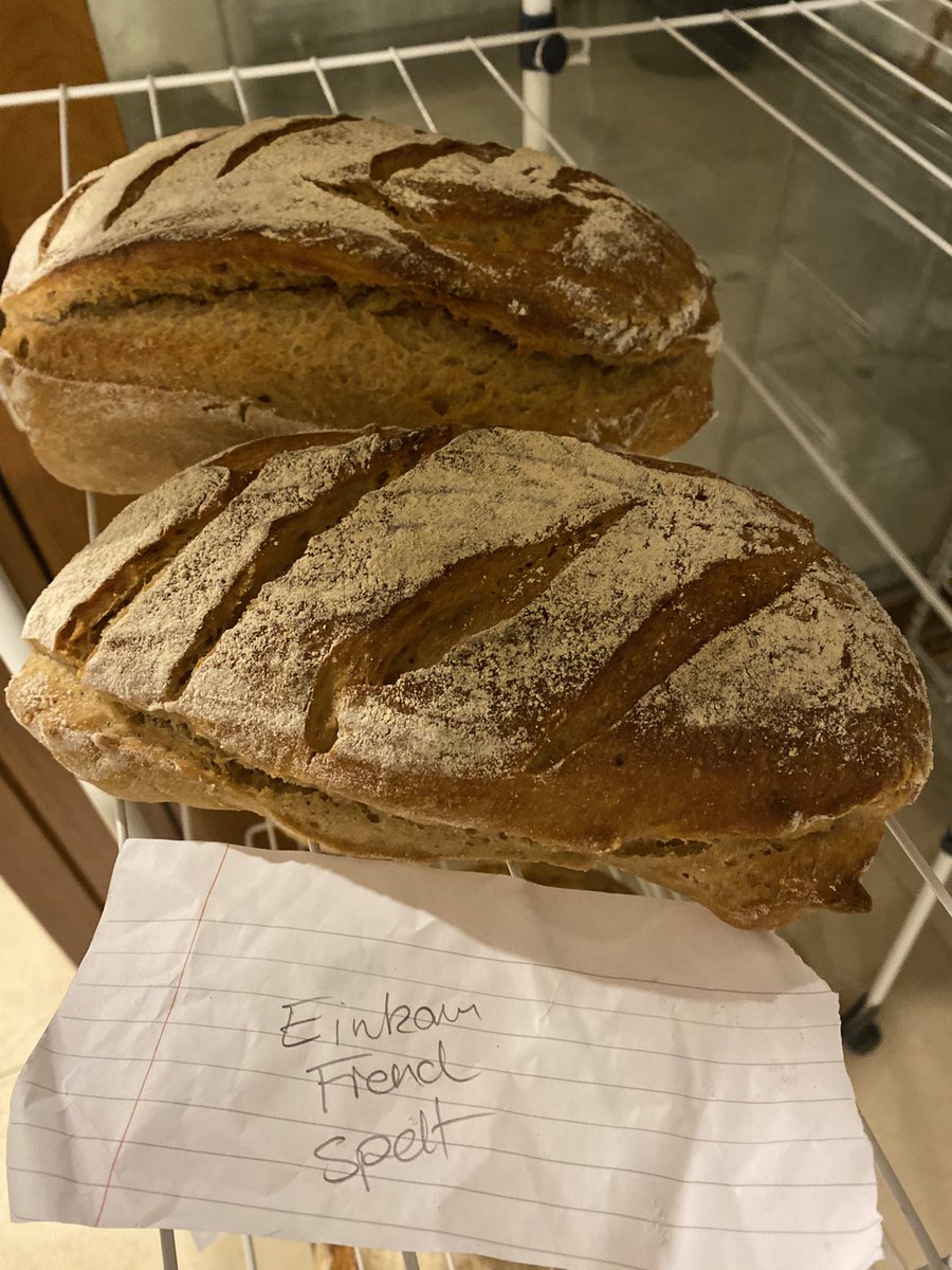 AidanOSulliva15's tweet photo. Might give up this Professoring lark, and go and bake bread #GettingOutOfHand 😀 https://t.co/T11sARAhLd