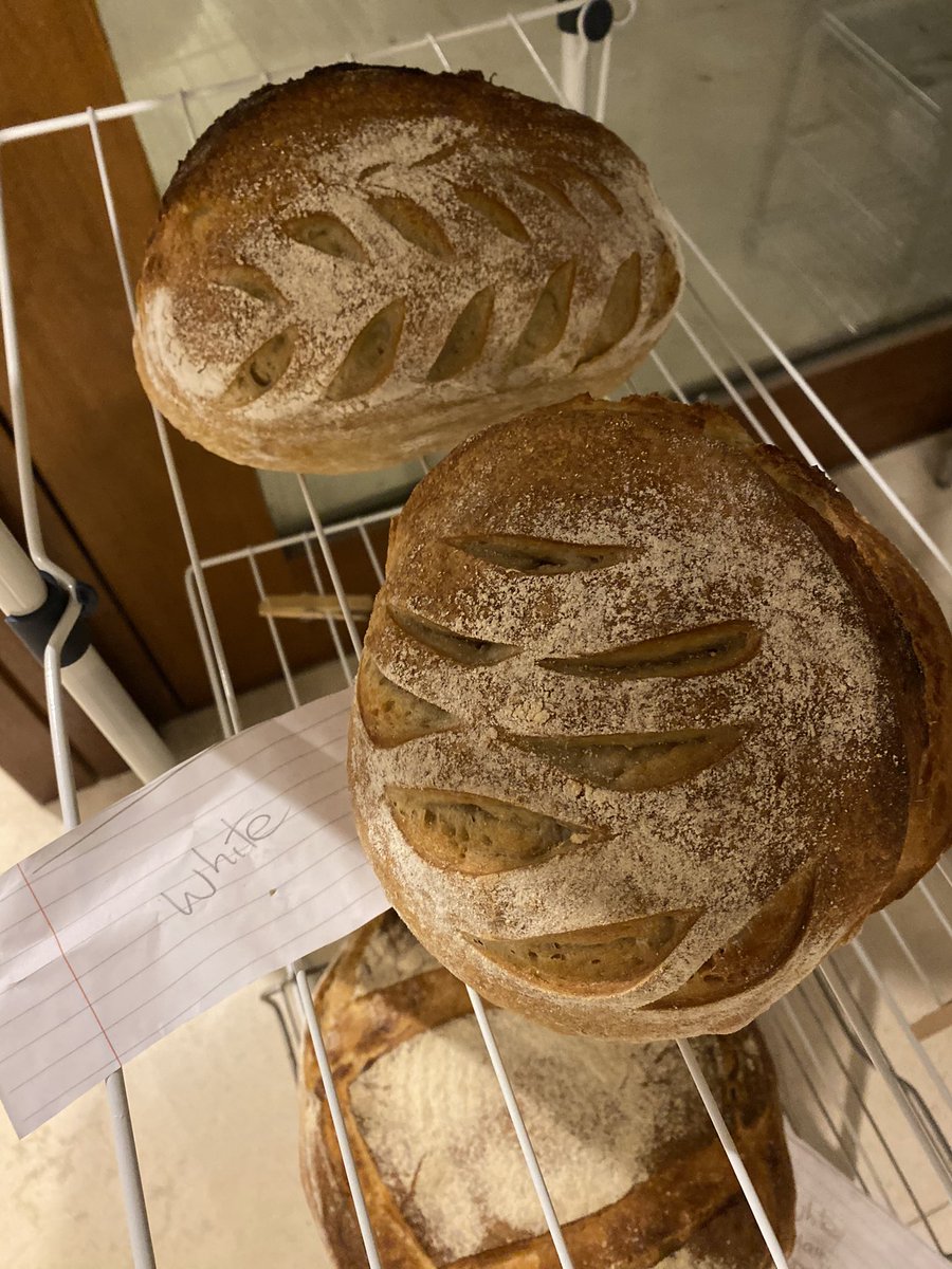 AidanOSulliva15's tweet photo. Might give up this Professoring lark, and go and bake bread #GettingOutOfHand 😀 https://t.co/T11sARAhLd
